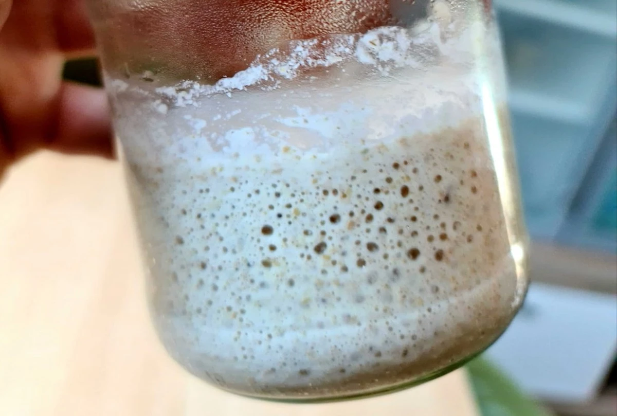 Proč babičky stále dávají mouku a vodu do sklenice: Úžasný trik pro nadýchaný chléb