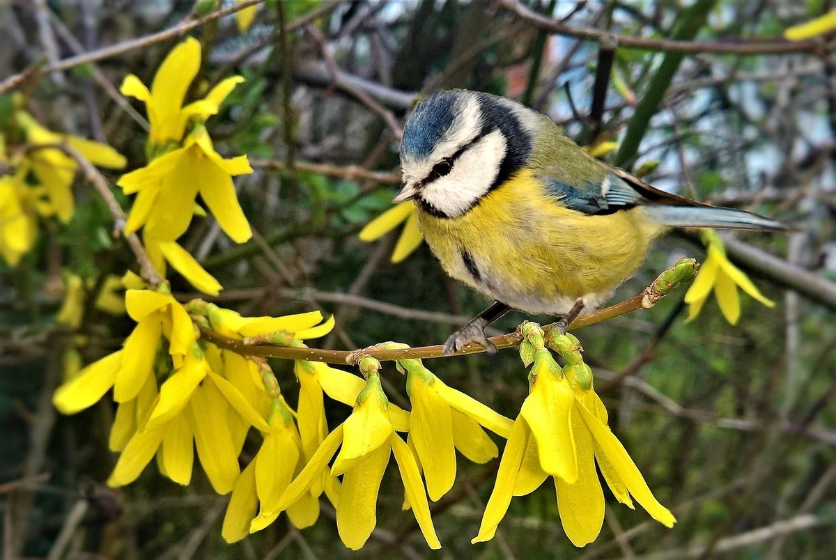 sestzverokruhuc-extra-1.webp Šest zvěrokruhů čeká finanční smršť: Která znamení se koupou v penězích? - image 1