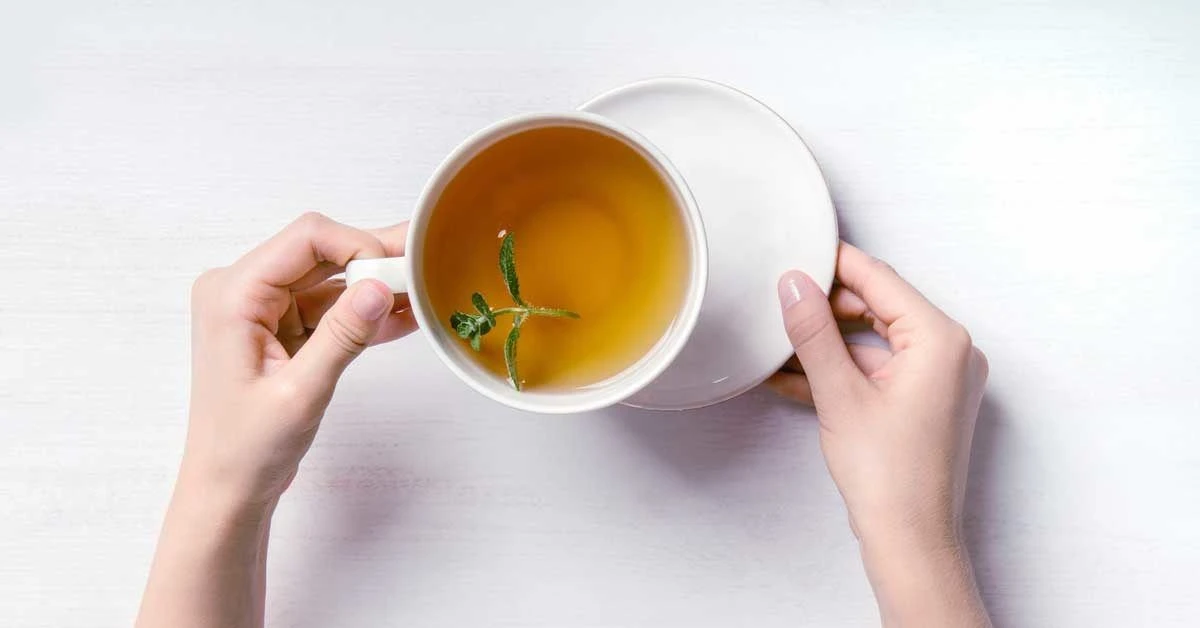 Proč byste neměli pít čaj s ovocem: Dietologové odhalují důsledky pro trávení - image 1