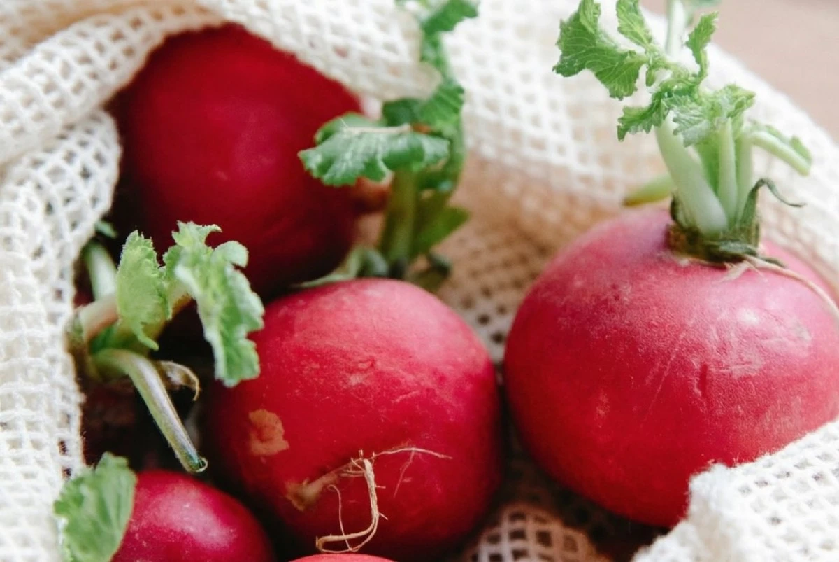 Led v jamce pro ředkvičky: Tajná zbraň pro šťavnatou úrodu bez hořkosti