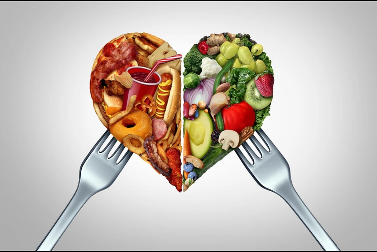 proctrijidladen-extra-1.webp Proč tři jídla denně nejsou pro každého: skrytý detail stravování, o kterém málokdo ví - image 1