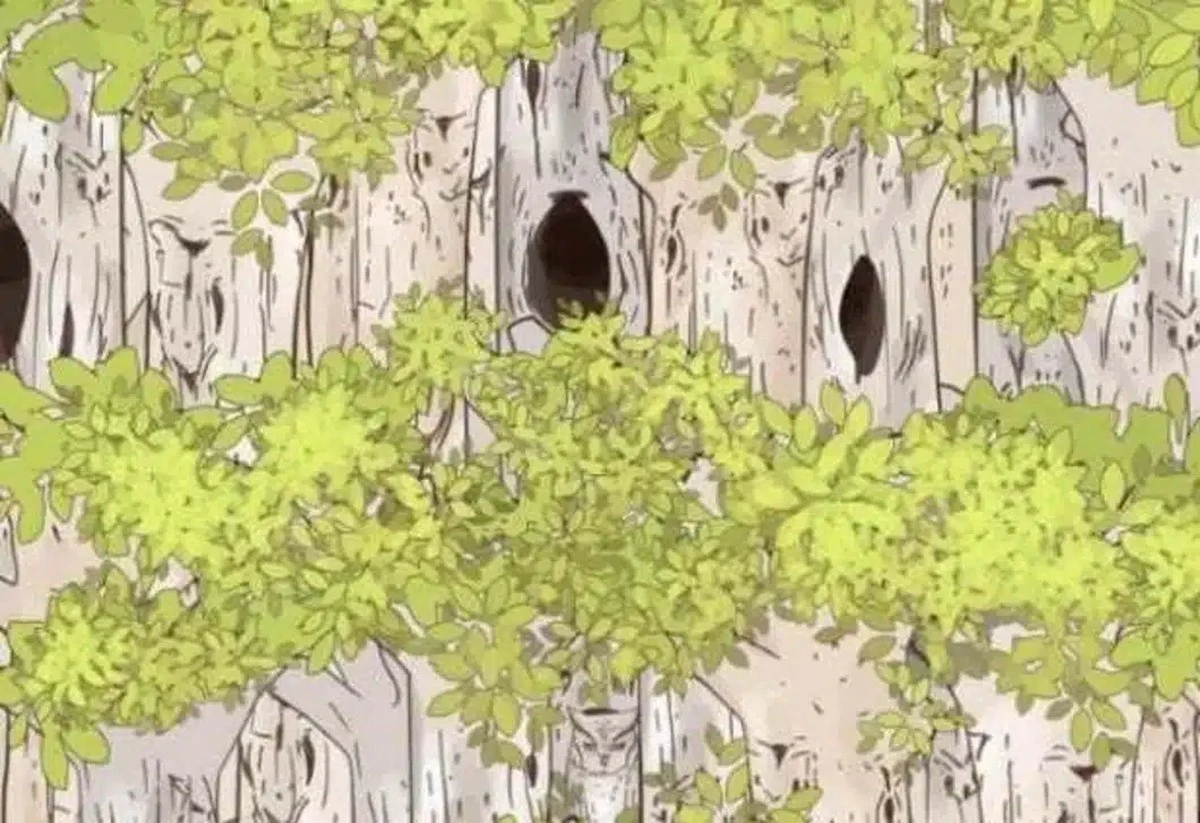 Najdeš sovu za 5 sekund? Tulenec skryté hry ti odhalí IQ