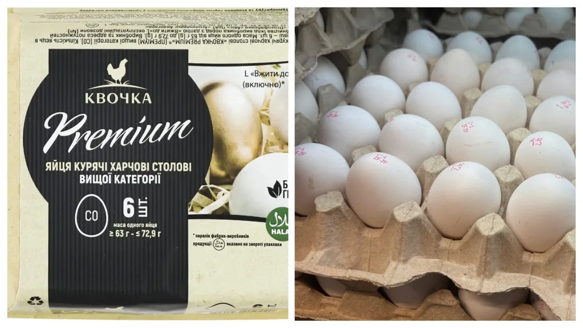 Proč dražší vajíčka nenabízejí víc než jen marketing? Toto musíte vědět