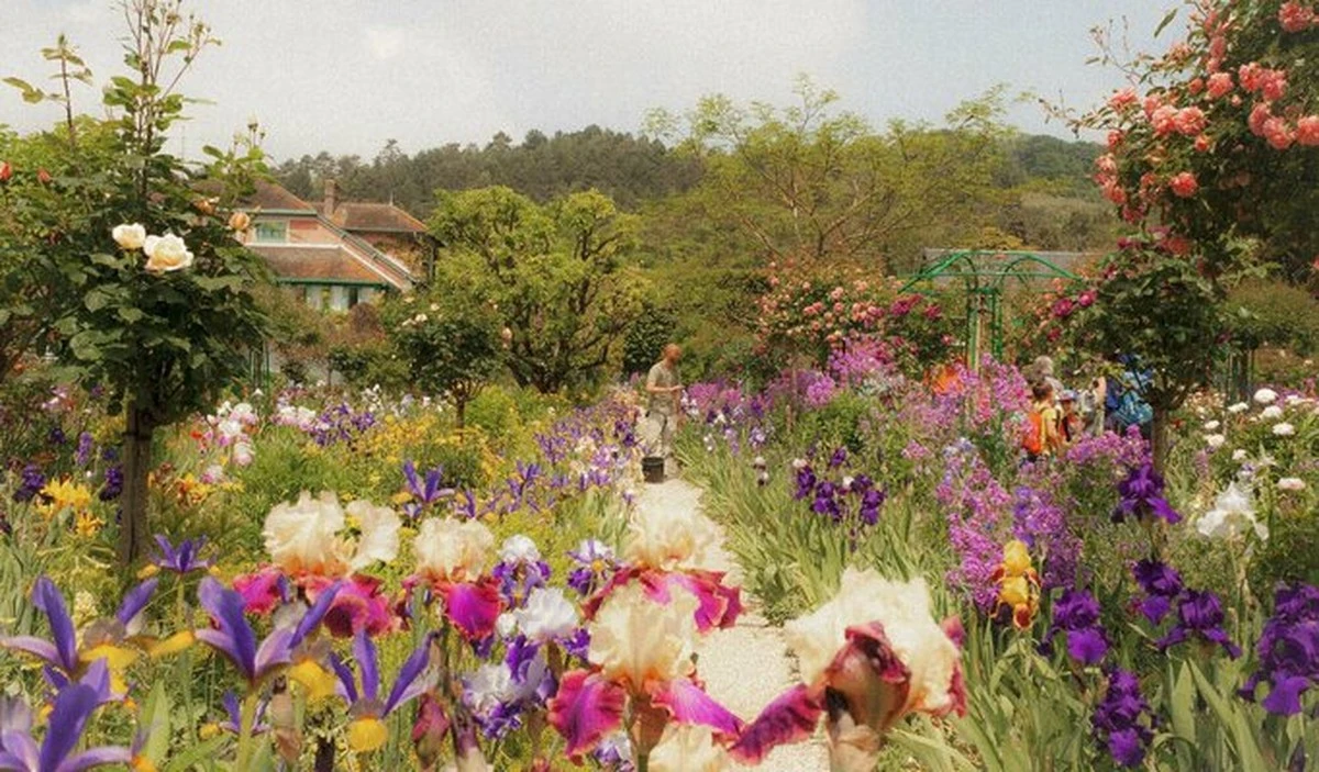 zahradaakoodpro-extra-1.webp Záhrada ako od profíka: Jednoduché triky, ktoré poznajú len skúsení záhradníci - image 1