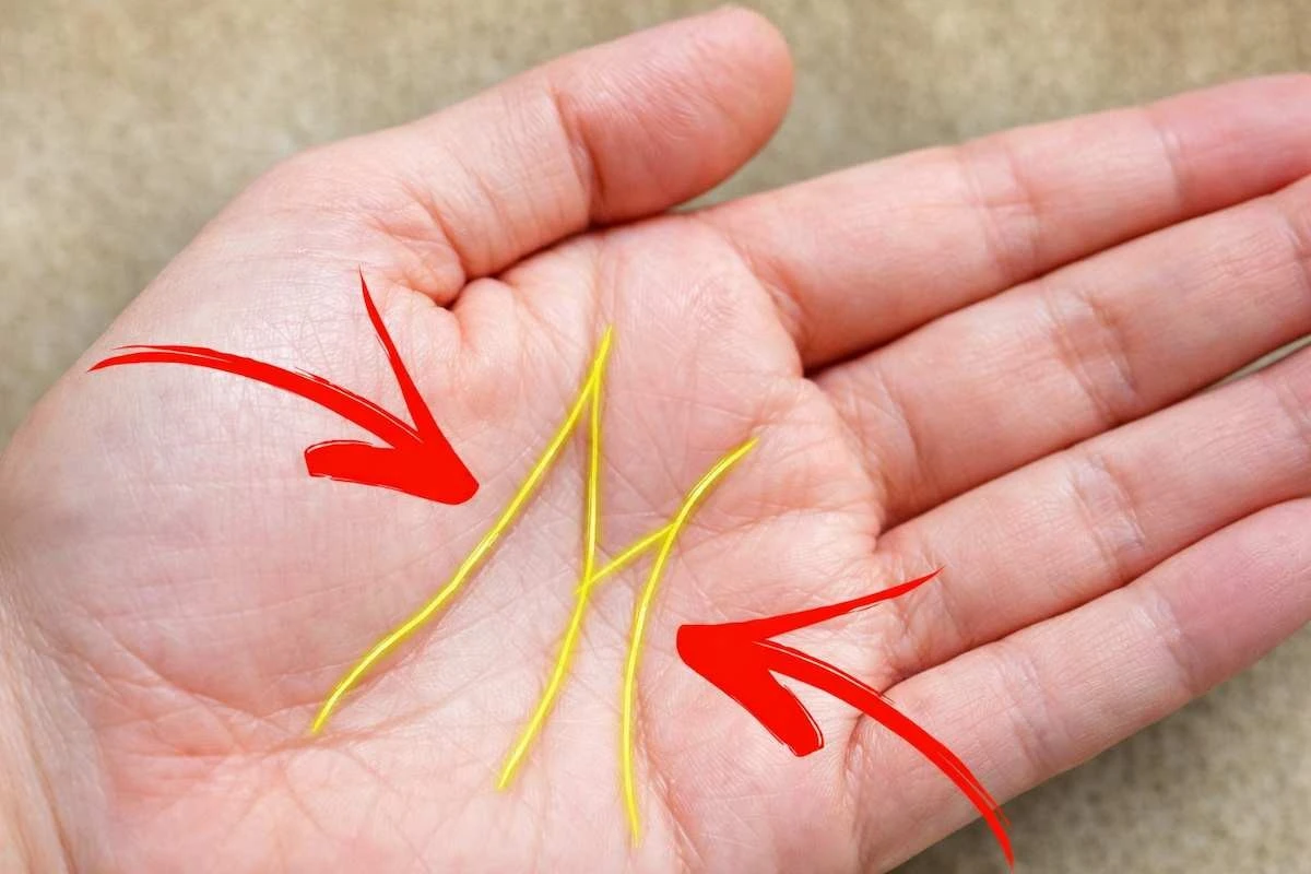 Co linie na vaší dlani může prozradit