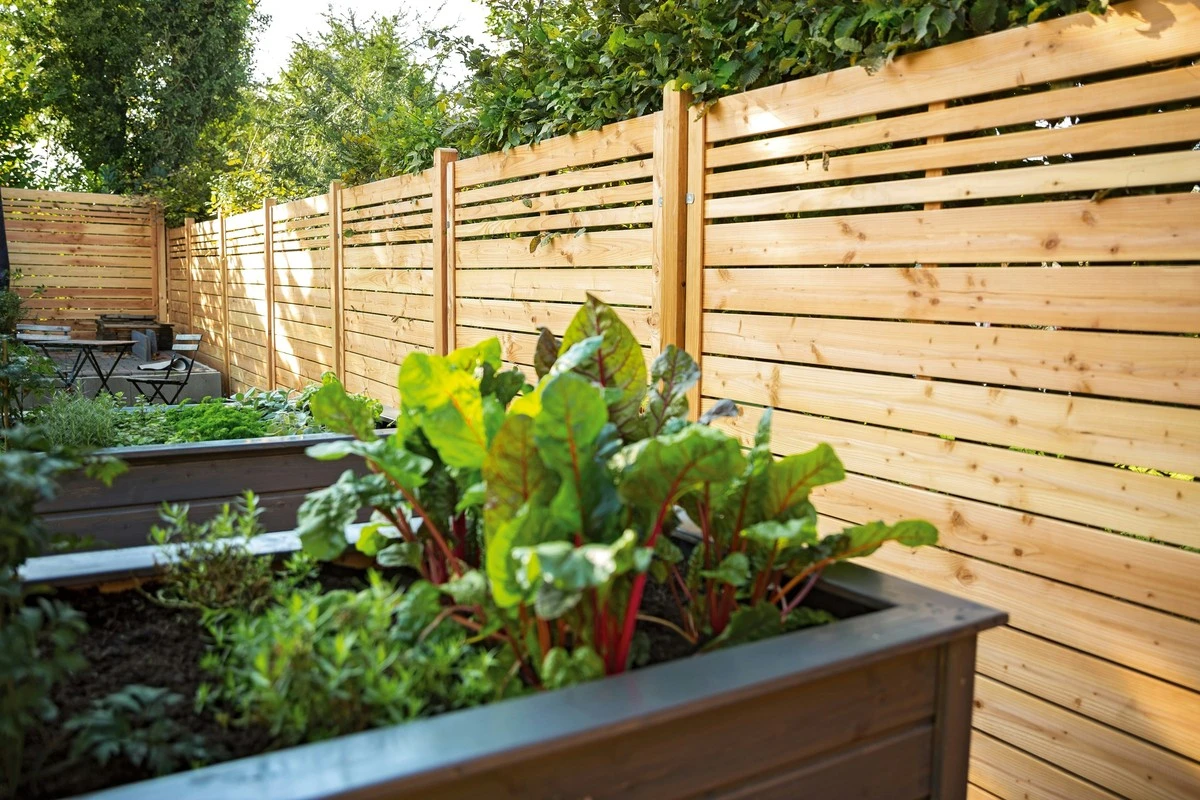 Plot proti 30 letům: tato zahradní alternativa dřeva a kovu vám ušetří peníze - image 1