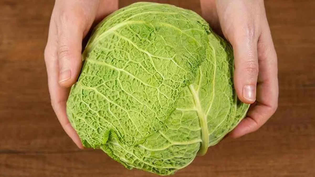 6 zimních zelenin, které zachrání nafouknuté dny