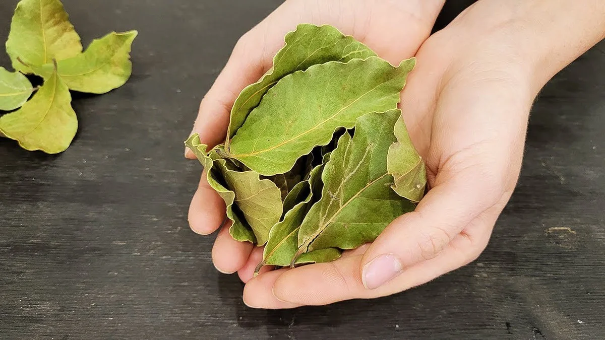 4 bobkové listy s jedlou sodou: trik, který vrátí barvu vašemu prádlu