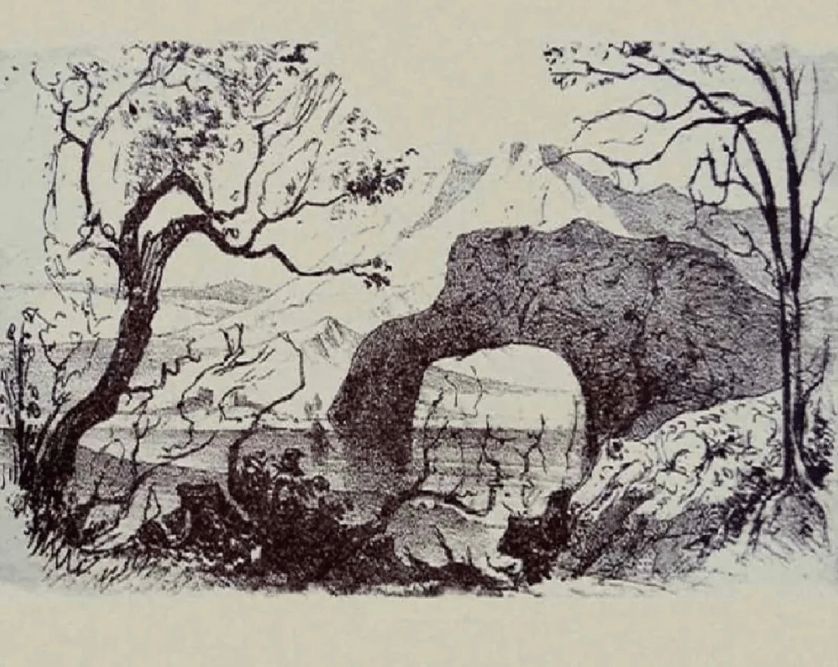 Najdi skrytých 10 zvířat za 10 sekund: Test pro lidi s výjimečným zrakem