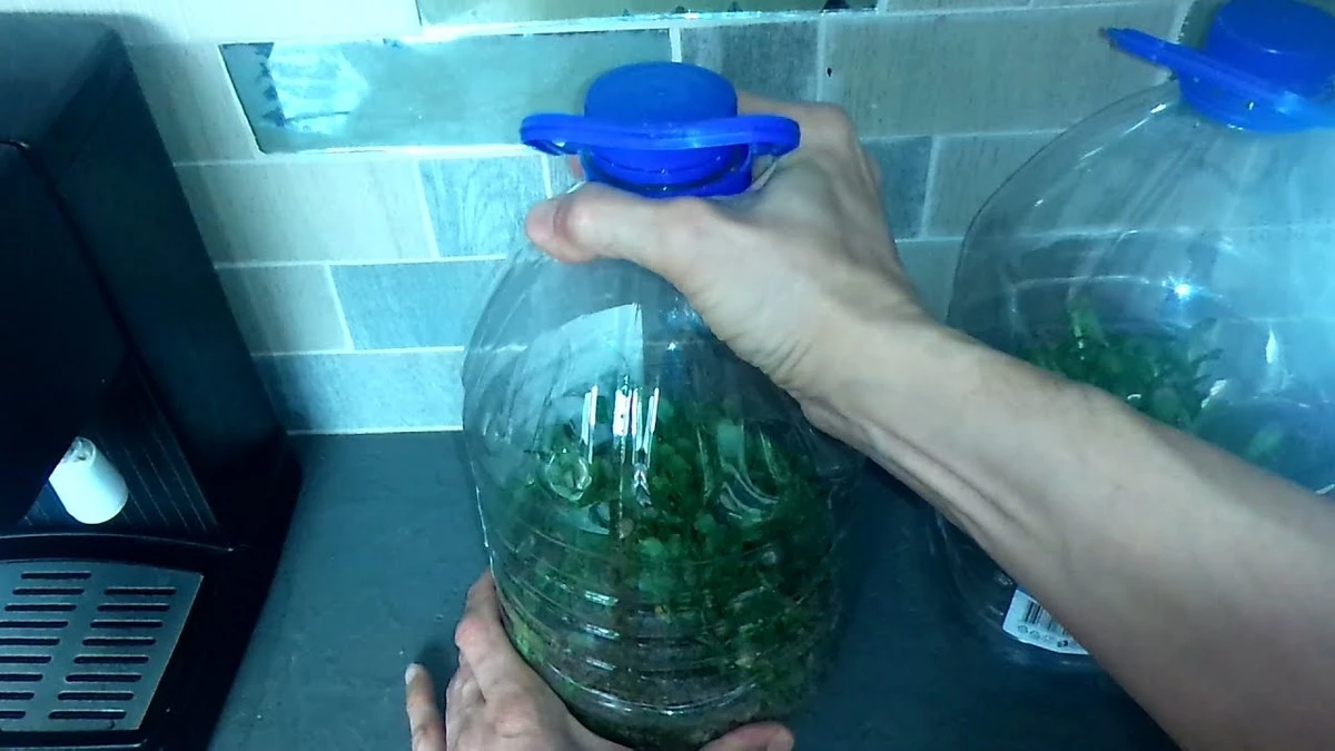 Vykřešte zlatý důl z plastových lahví: geniální trik pro zahrádkáře