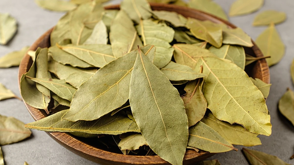 3 bobkové listy v mouce: Dědův trik proti škůdcům, který funguje spolehlivě - image 1