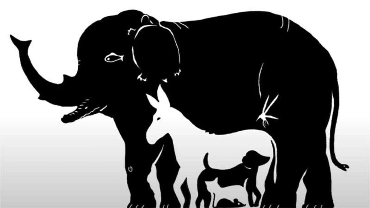 najdetepavoukan-extra-1.webp Najděte pavouka na obrázku do 10 sekund: Trik, který prokoukne každý - image 1