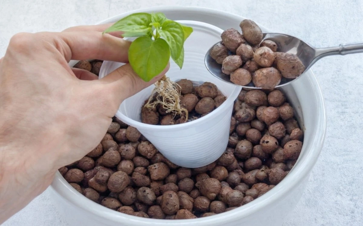 Proč zkušení zahrádkáři už nepoužívají keramzit. Máme lepší a levnější řešení.