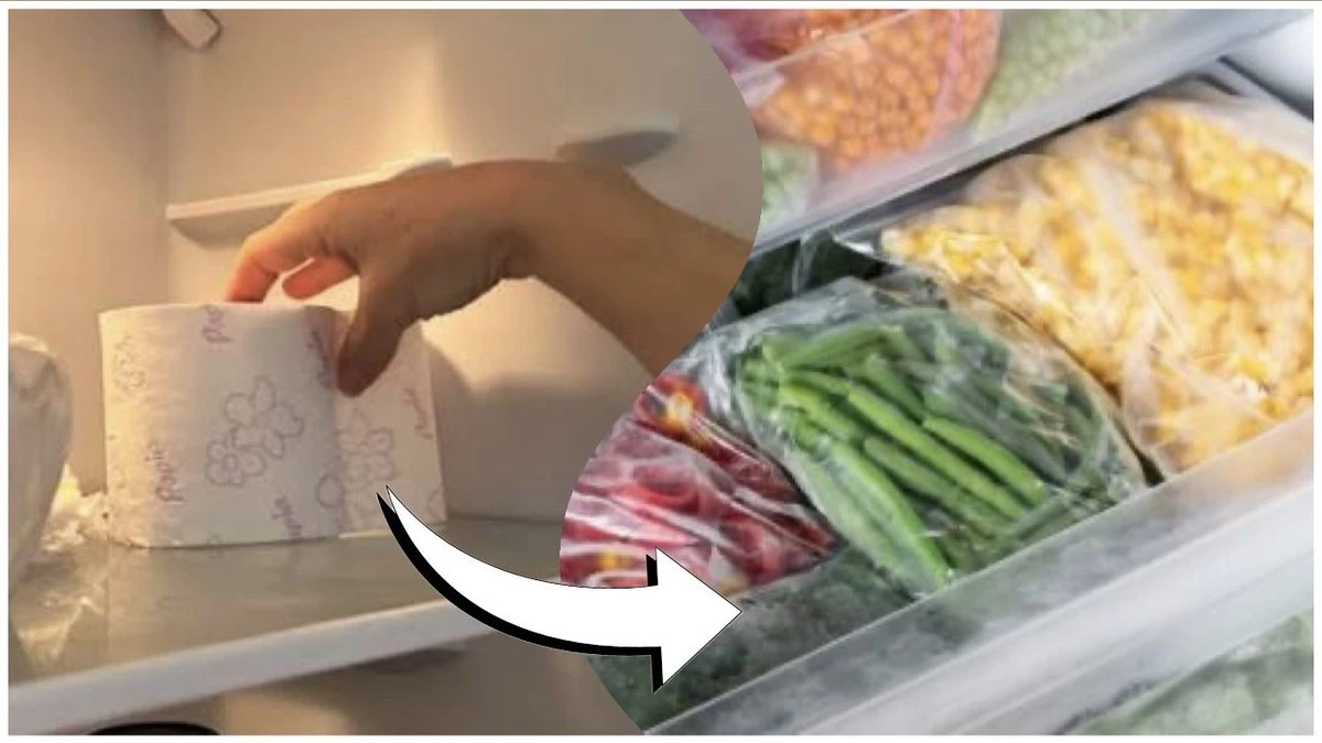 Proč dát toaletní papír do mrazáku: německý trik, který si zamilujete