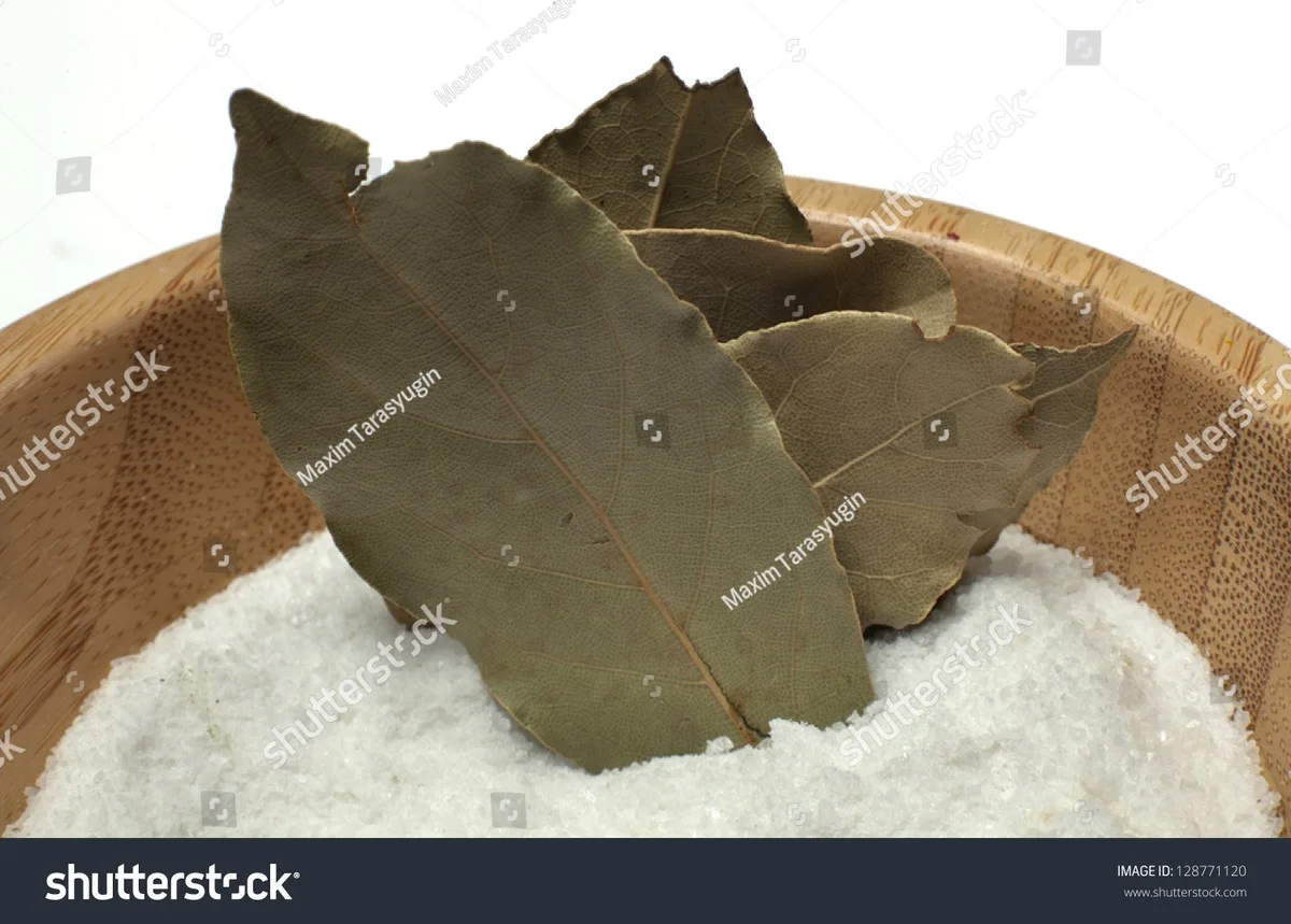 Sůl a bobkový list na oknech a ve vaně: Geniální trik proti vlhkosti, který Češi milují - image 1