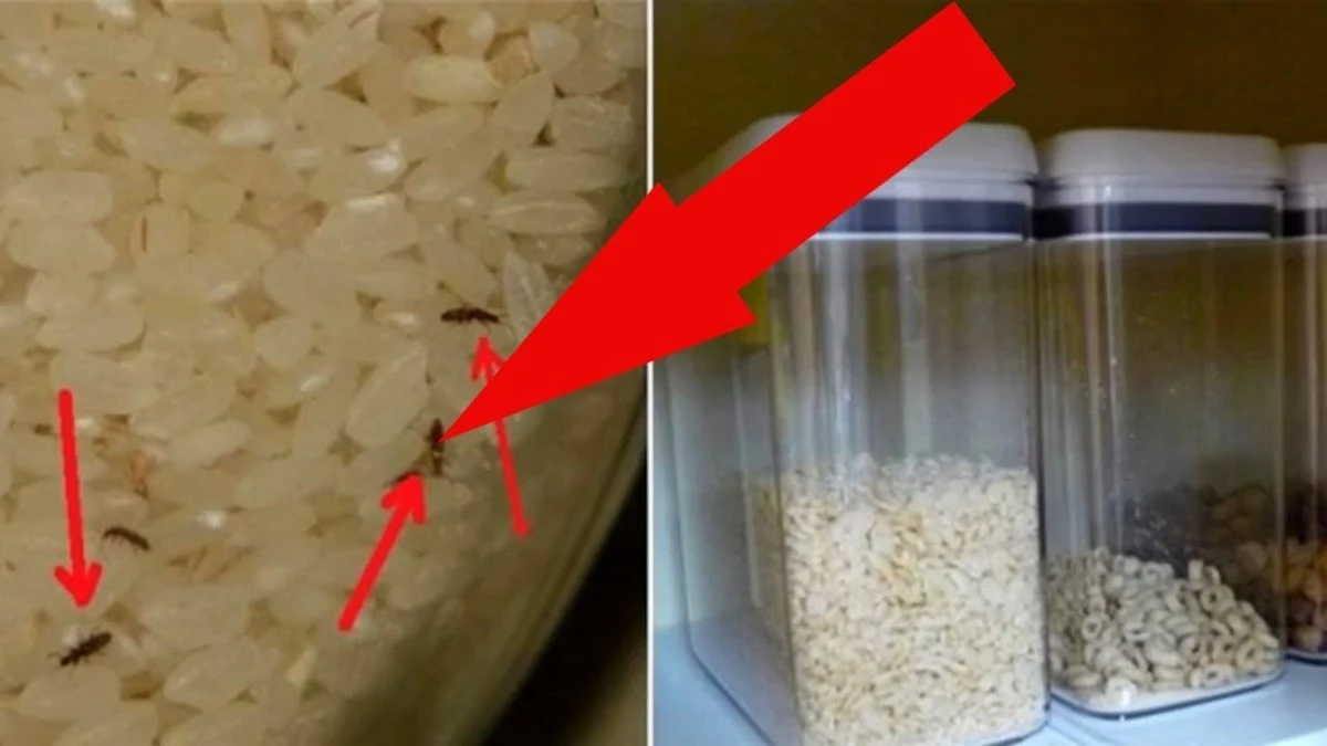 Lžička skořice: Proč ji zkušení pekaři sypou do těsta pokaždé