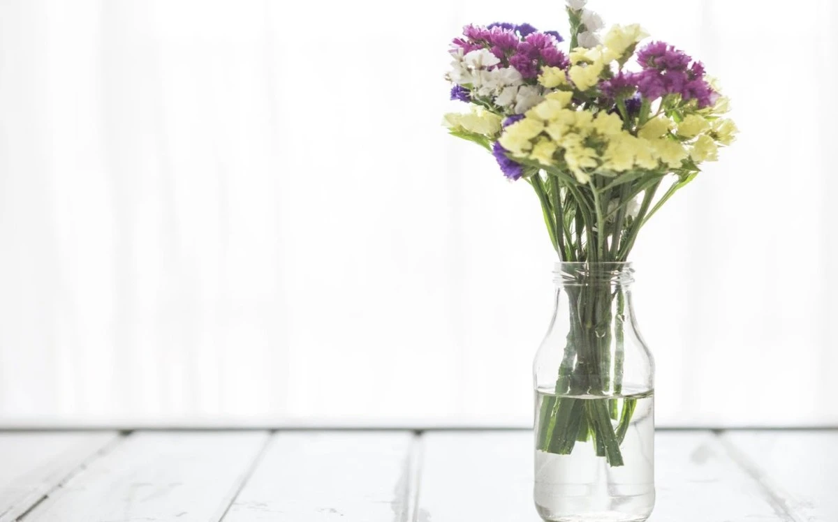 Proč květiny ve váze vydrží týdny: stačí jedna snadná přísada místo acylpyrinu