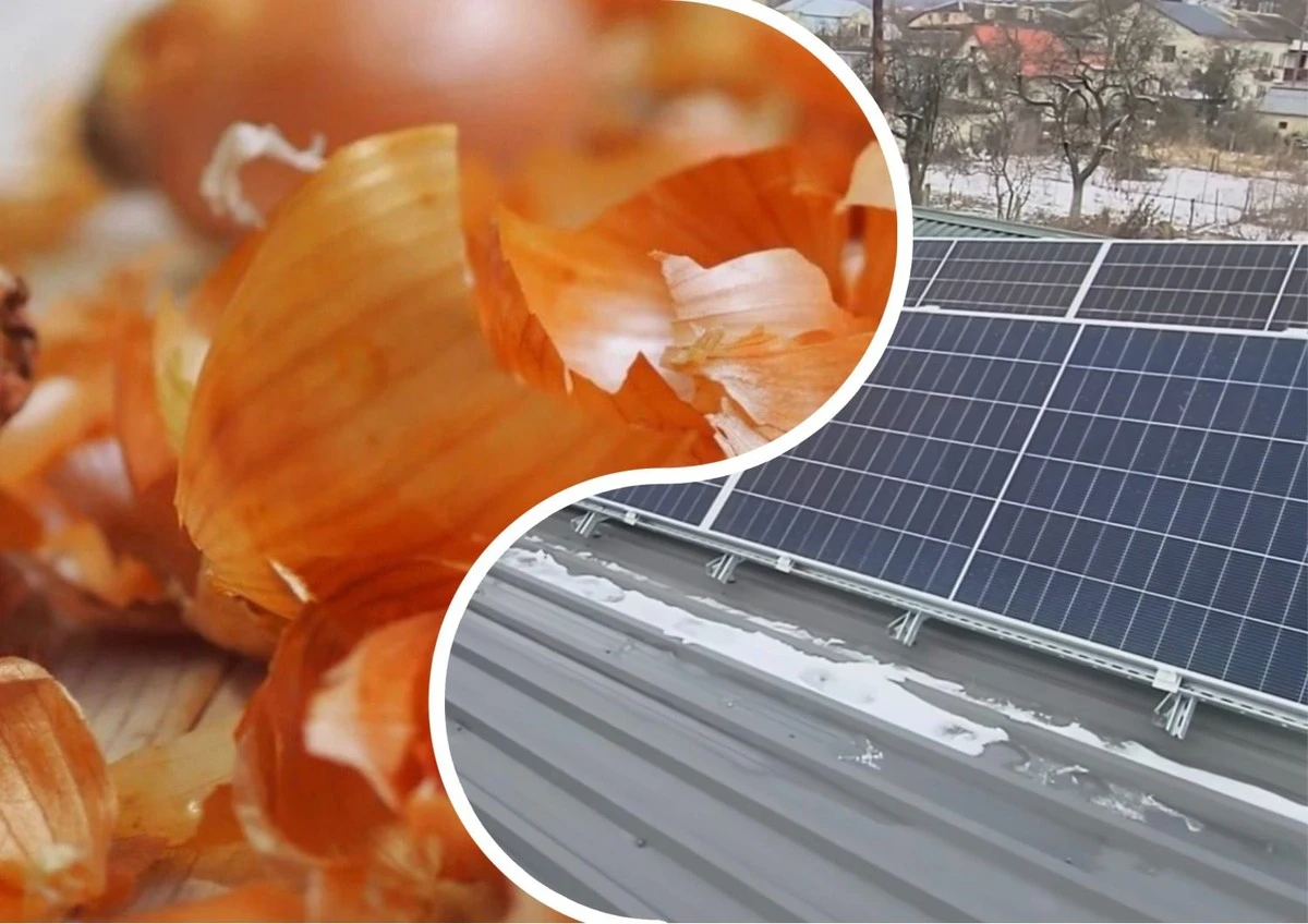 Ochrana solárních panelů: Kouzlo z cibule, které sníží přehřívání a prodlouží životnost