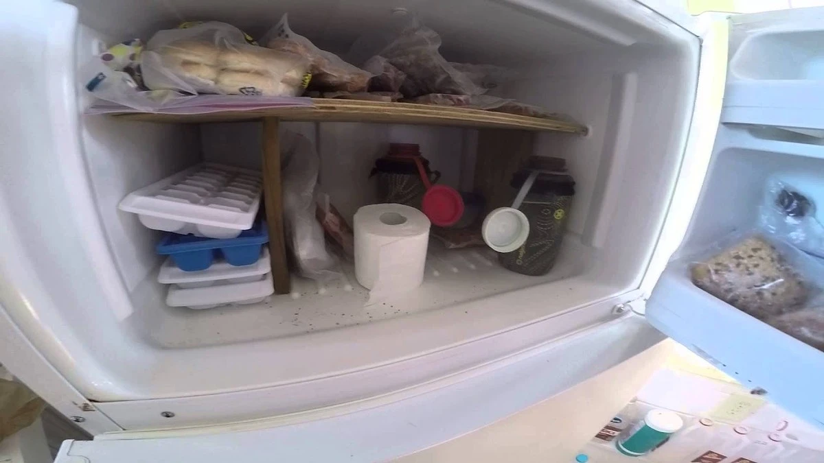 Proč dát toaletní papír do mrazáku: německý trik, který si zamilujete - image 1