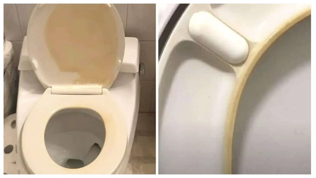 Proč WC prkénko zežloutlo a jak jsem to levně opravil