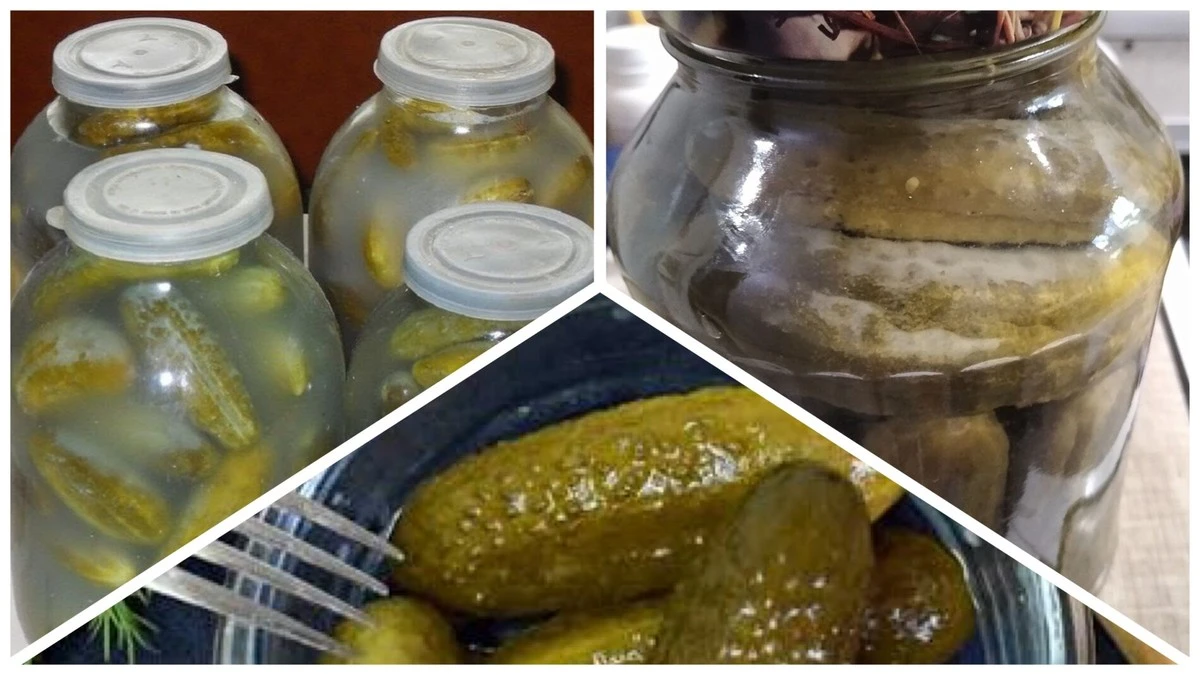 Zavařené okurky s bílým povlakem: Stará babiččina rada vám řekne pravdu, zda je lze jíst