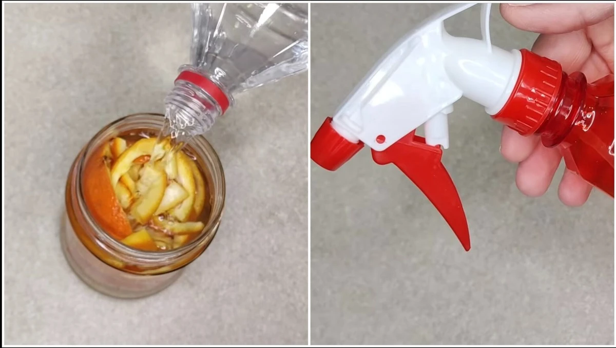 Proč zkušené hospodyňky настаují ocet se slupkami z mandarinek: čisticí zázrak za pár korun