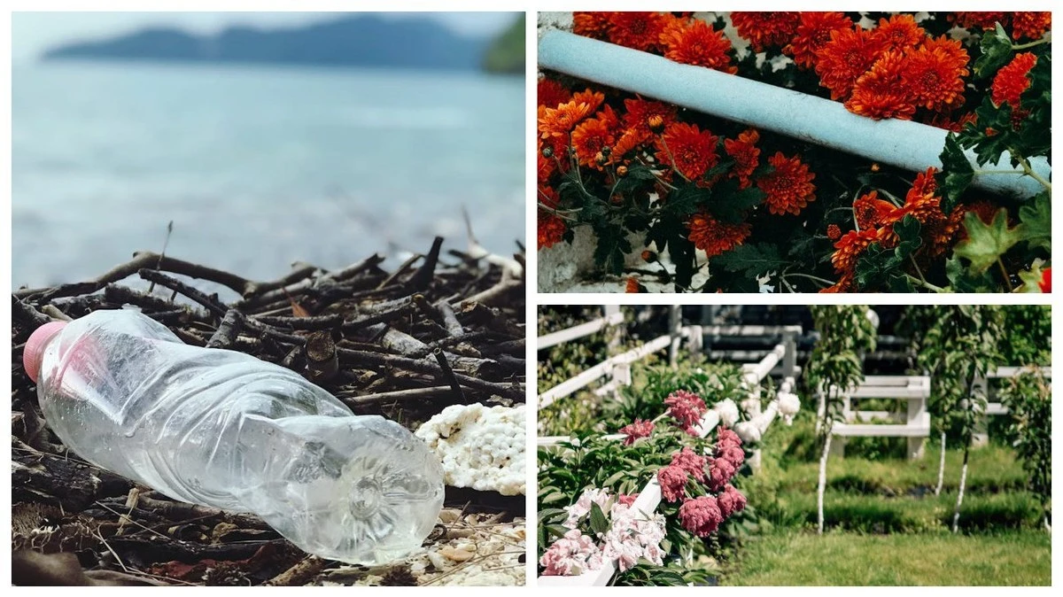 Z obyčejných lahví na dekoraci plotu: 1 trik, který oživí vaši zahradu