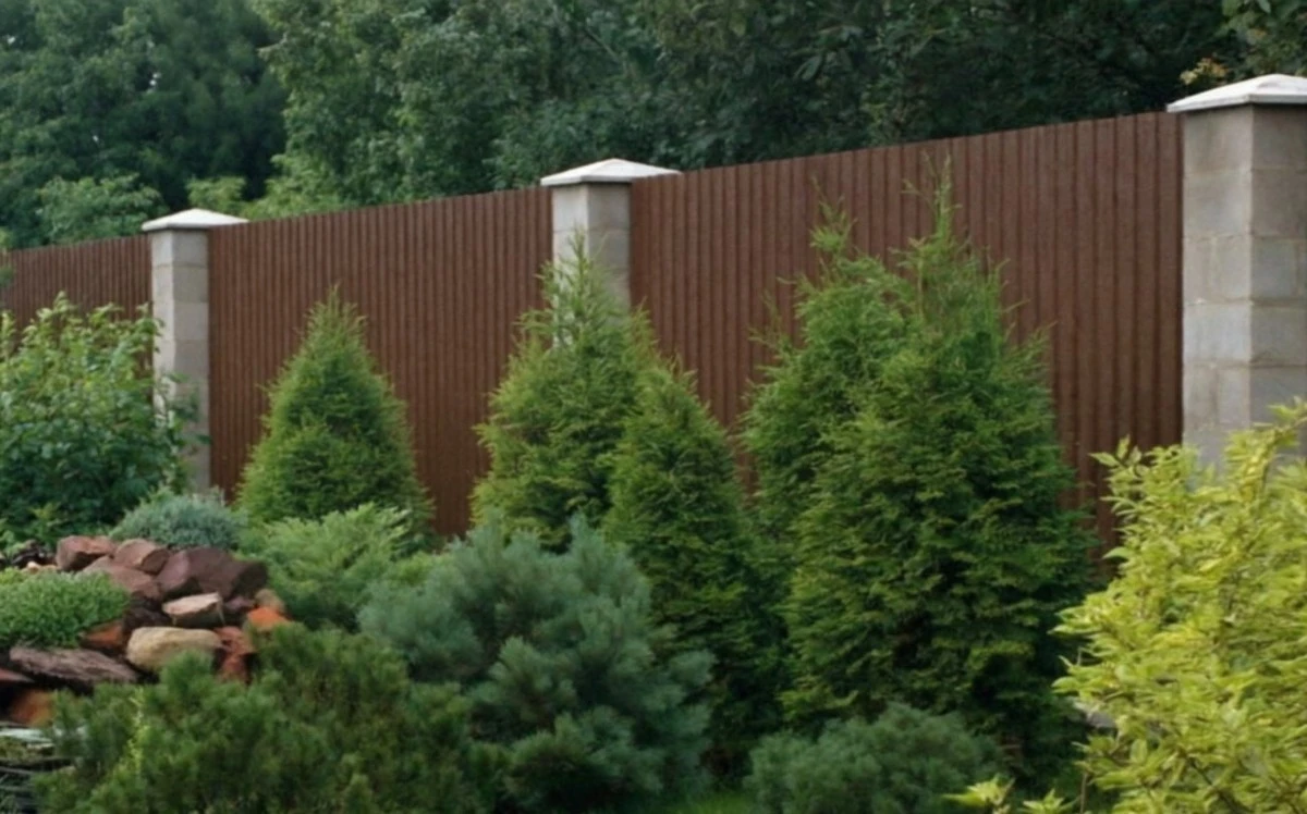 Které stromy zasadit u domu pro lepší život: každý má svou energii