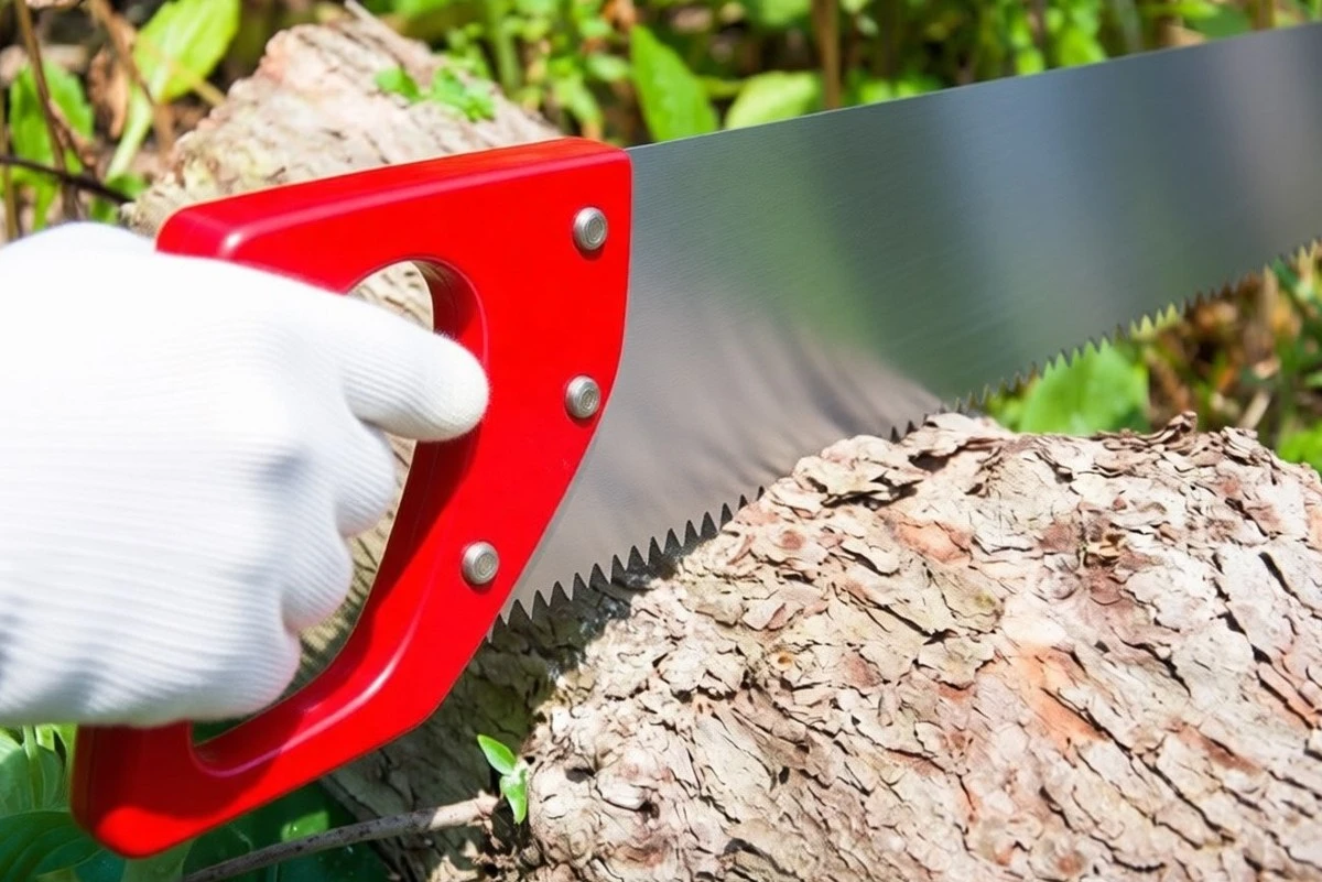 Proč zahradníci vždy dávají houbu na dno květináče