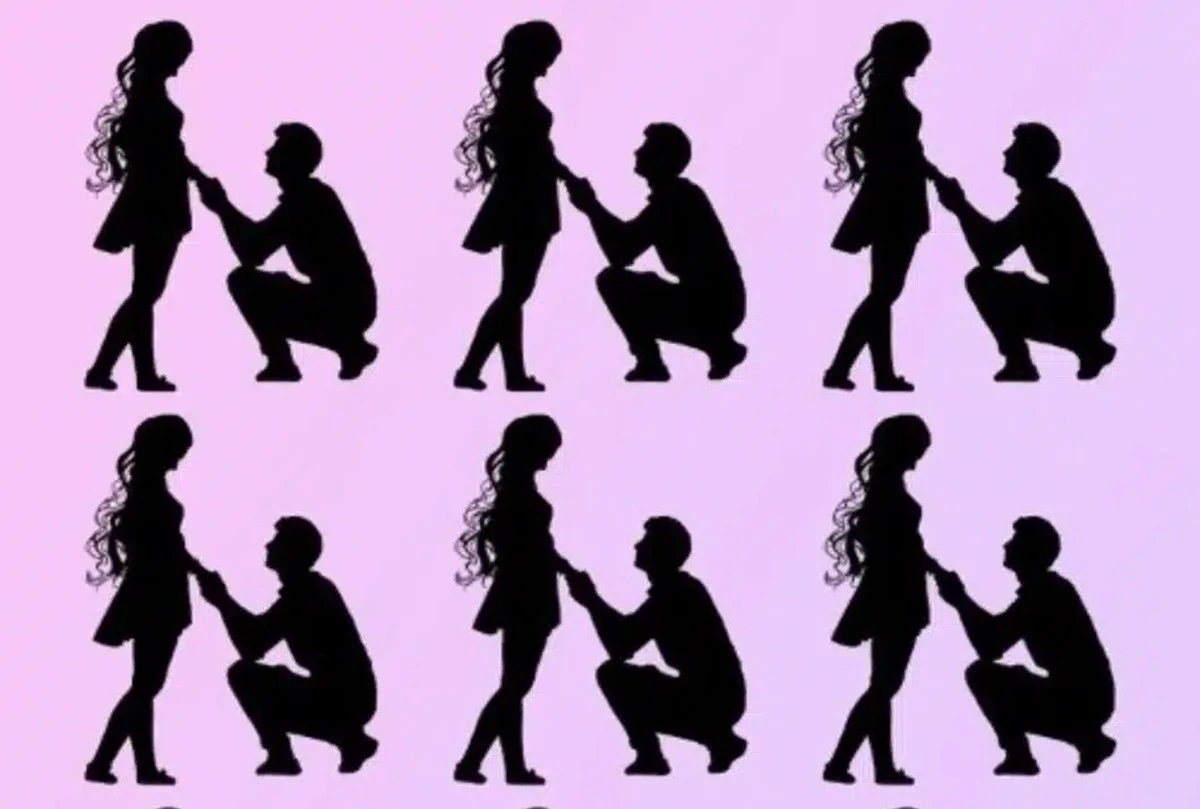 Najděte rozdíl mezi páry za 5 sekund: Test vašeho pozorovacího talentu