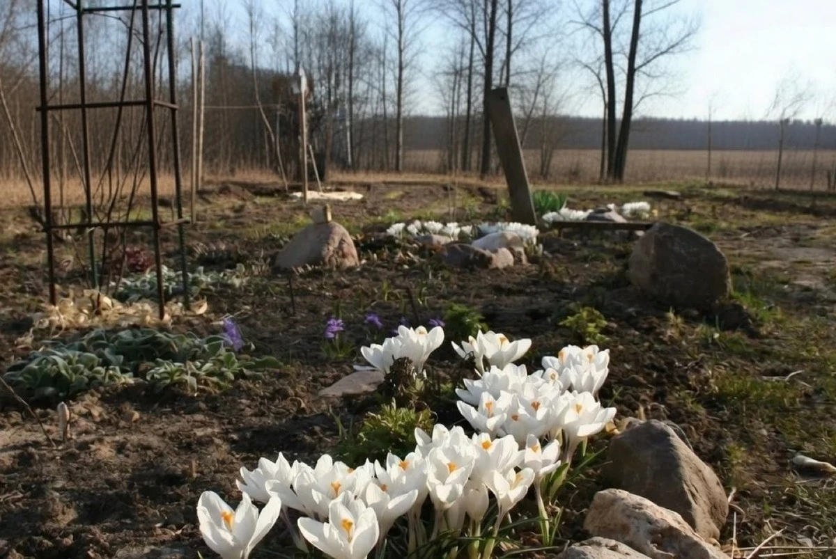 Záhrada ako od profíka: Jednoduché triky, ktoré poznajú len skúsení záhradníci