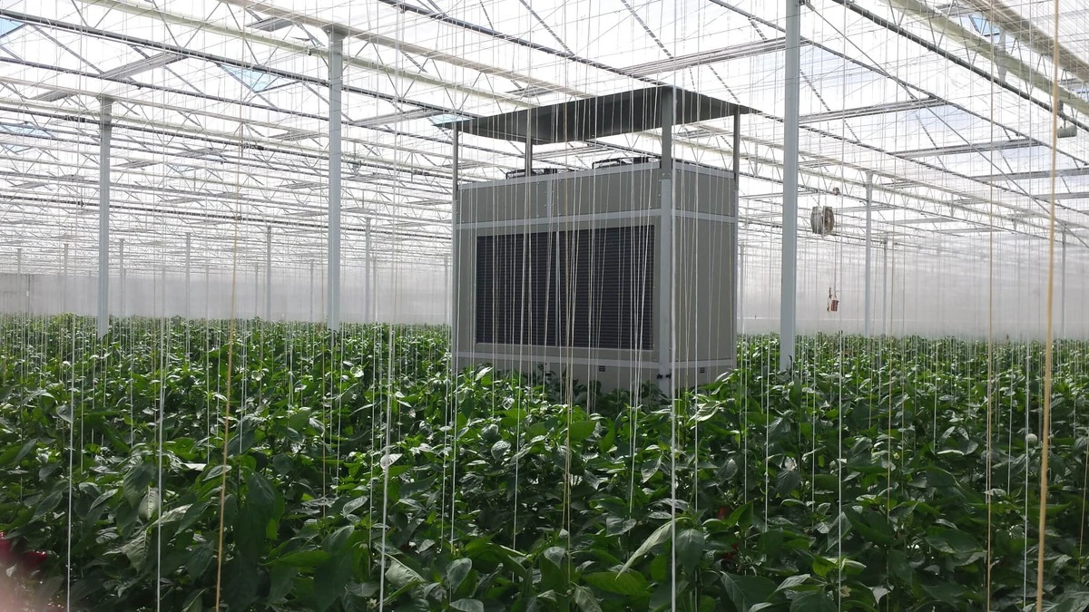 teplotnirozdily-extra-1.webp Teplotní rozdíly v tropech jsou passé: Jak zajistit suchou skleník a zdravou úrodu - image 1