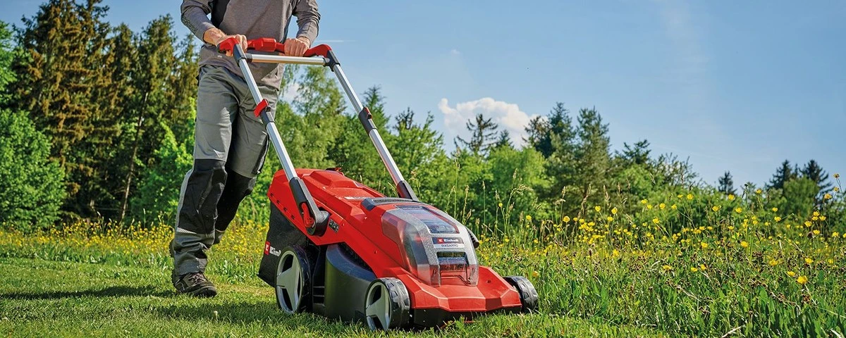 Zahradníci znají tajemství: Proč sbírají použité čajové sáčky pro bohatou úrodu - image 1