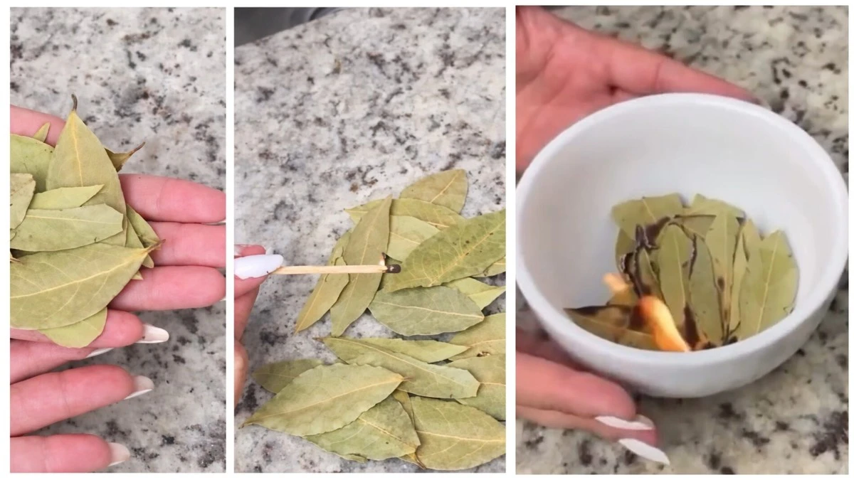 4 březnové dny pro změnu života: spalte bobkový list pro štěstí a bohatství