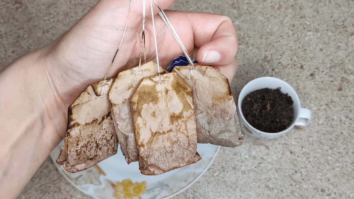 Už nikdy nesypte čajové sáčky do koše: 4 triky, jak zužitkovat starou zátěž na okna i zahradu – efekt na 100 %