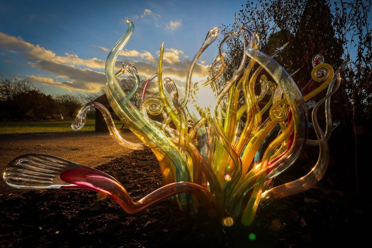 kudrnatekrystal-extra-1.webp Kudrnaté krystaly, které promění vaši zahradu: 5 překvapivých využití manganistanu draselného - image 1