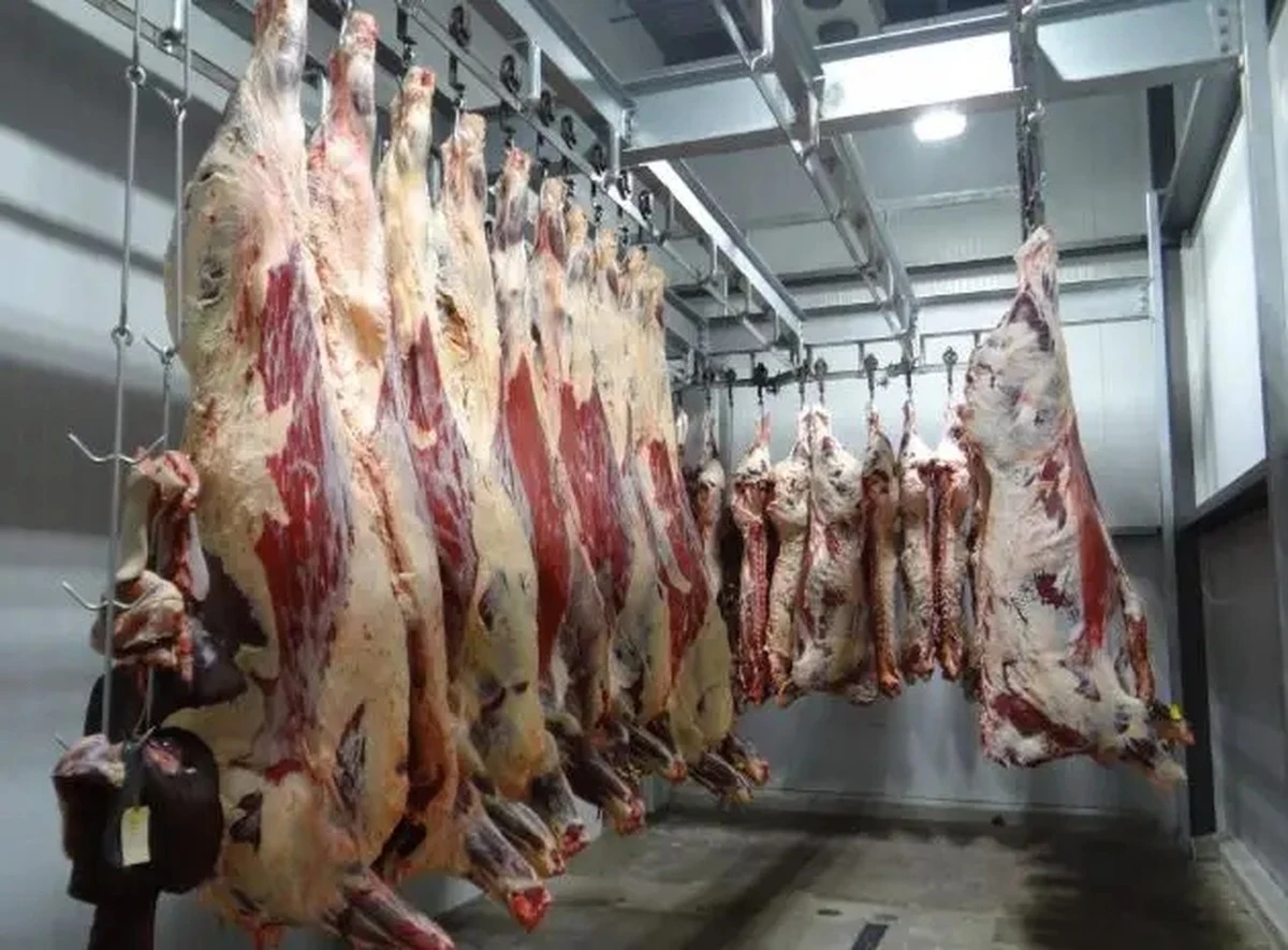 Proč zkušené kuchařky nedávají maso do mrazáku na déle než 2 měsíce - image 1