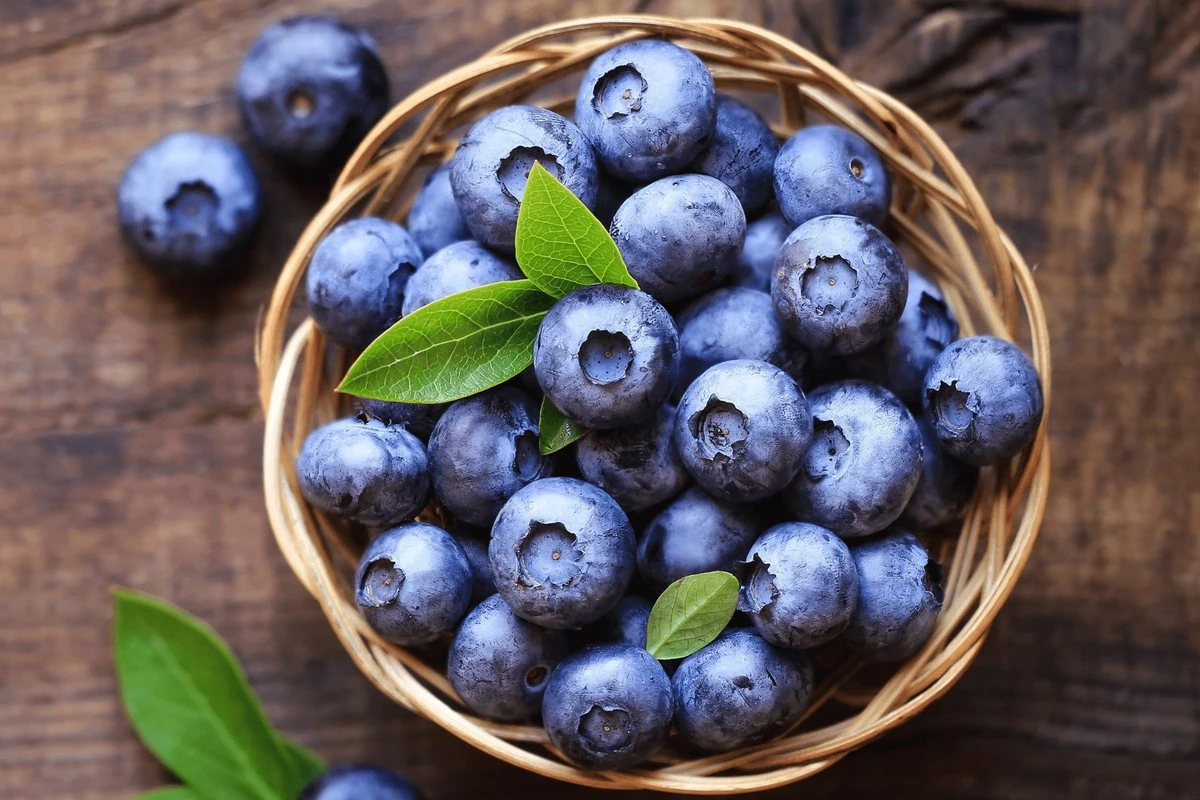 5 důvodů, proč si každý den přidat borůvky do jídelníčku - image 1