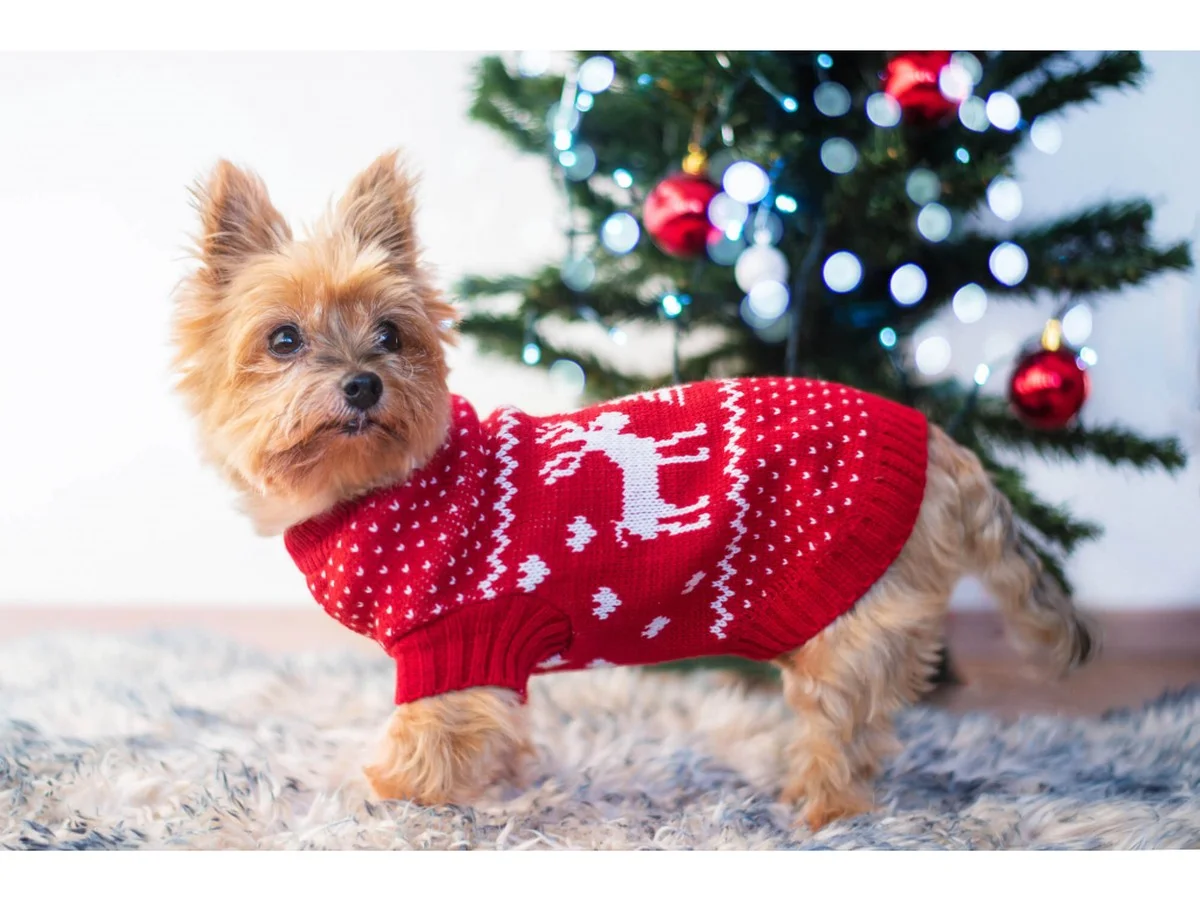 Jak zajistit, aby svetry vydržely jako nové 10 let: Jedna trik před praním změní vše - image 1