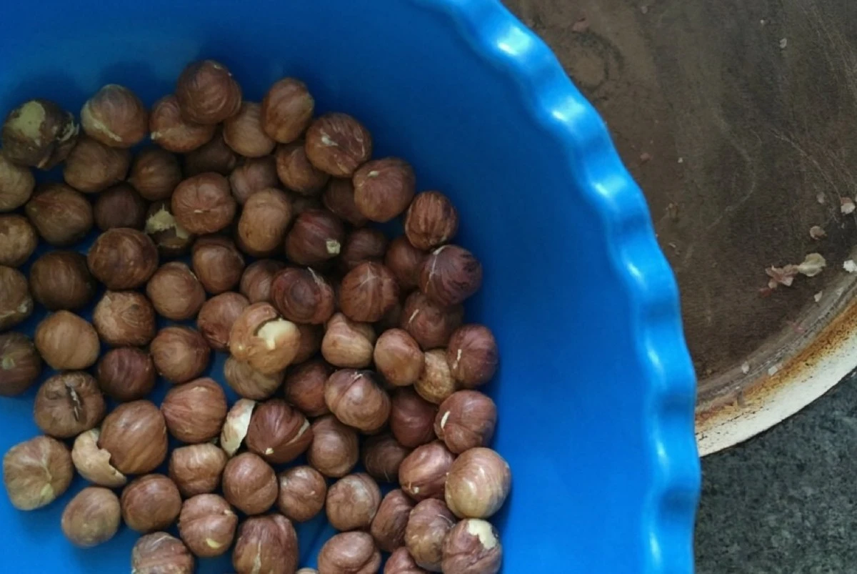 Ořechové batalie konec: 3 fígle, jak oloupat lískové ořechy za pár minut