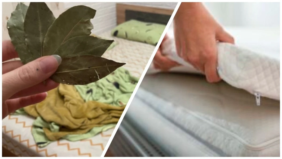 Proč babička dávala 7 bobkových listů pod matraci – teď to dělám každou sobotu