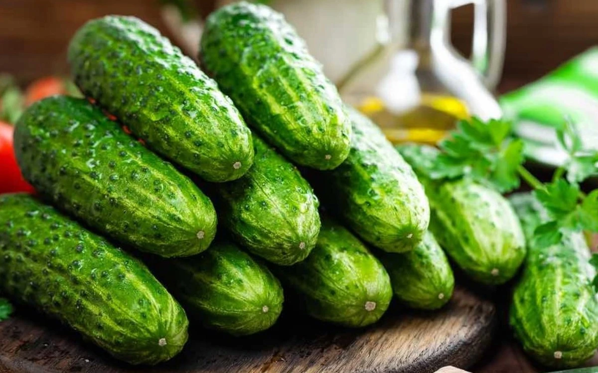 Jak sklízet rekordní úrodu okurek z jedné rostliny bez chemie a zbytečných nákladů: Trik zkušených zahrádkářů