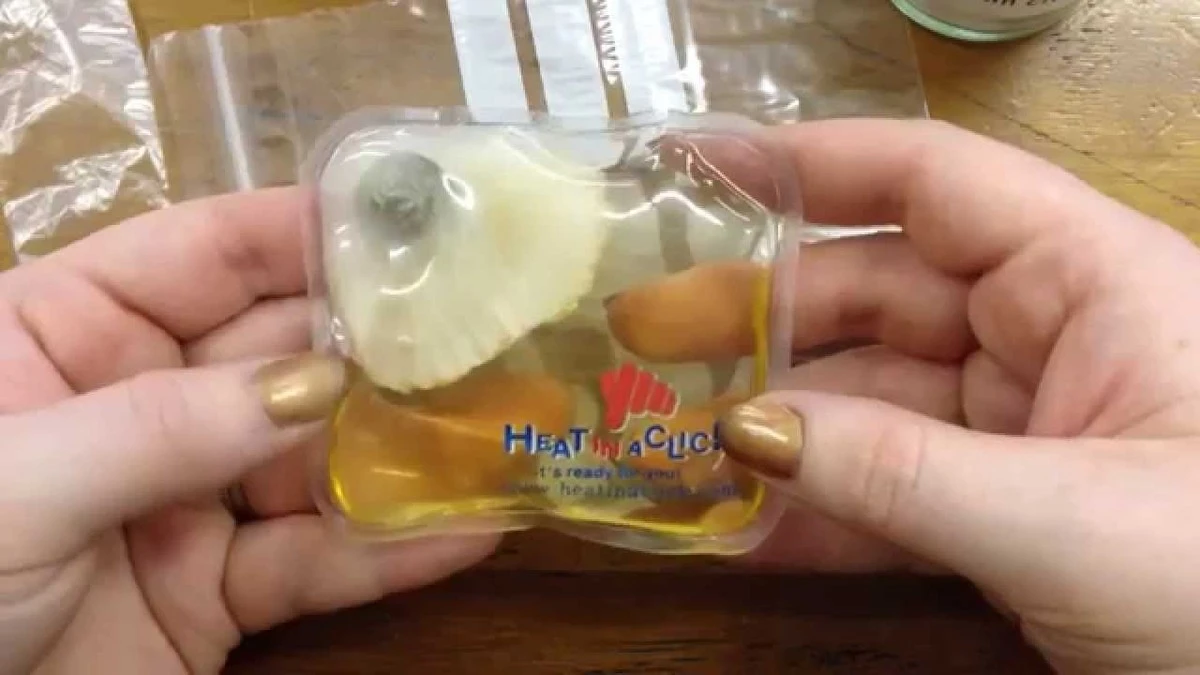 Teplo na 6 hodin bez elektřiny: Směs z 1 kg tohoto a 100 ml vody – ohřívač rukou se zahřeje na 65 stupňů | Dobré zprávy - image 1