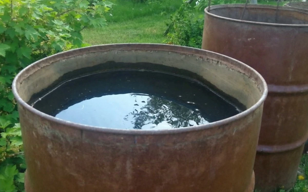 Jak vybrat sud na zahradu, aby se voda nezkazila a nezelenala