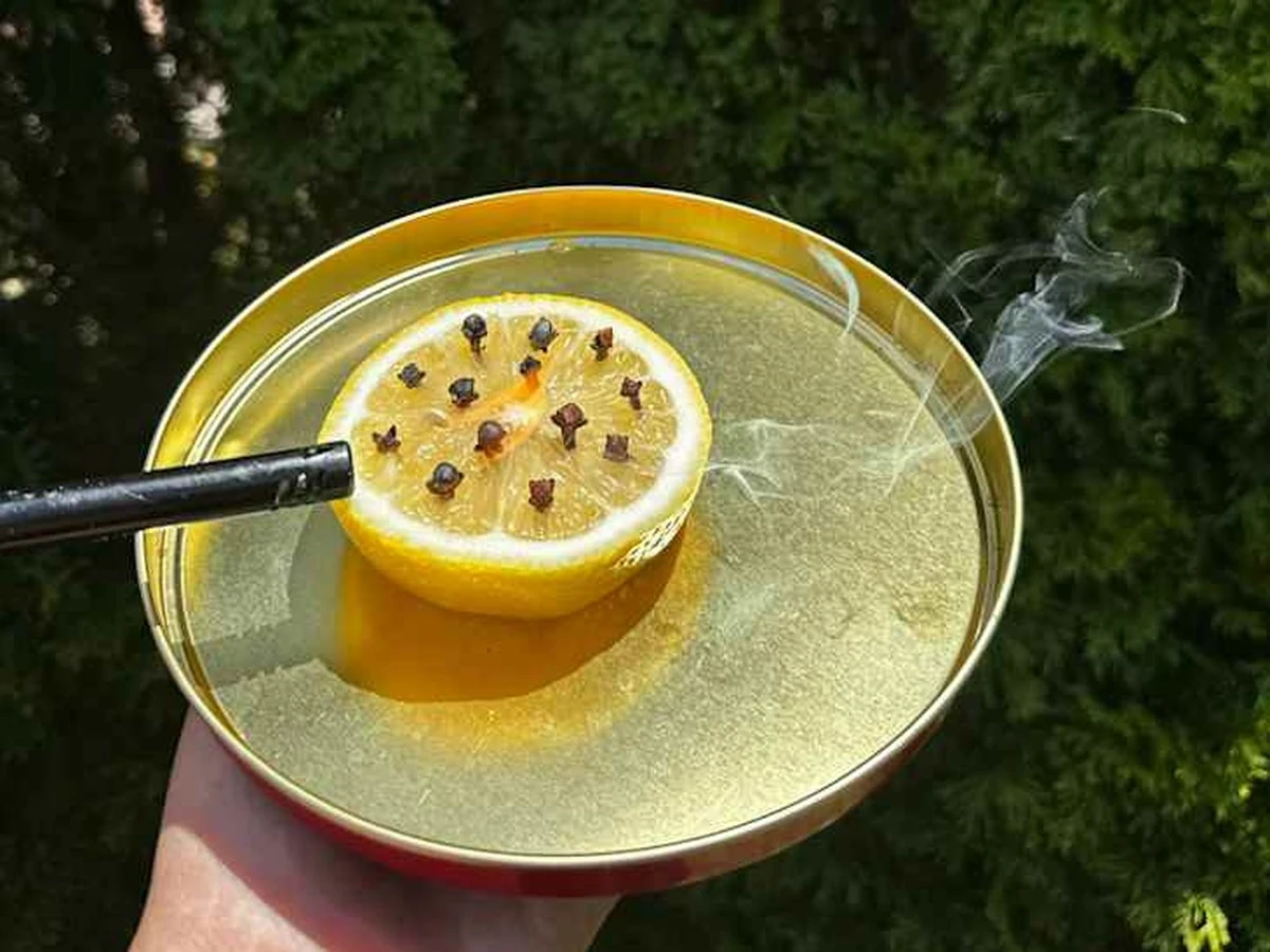 Proč jsou na vašem parapetu první březnoví komáři? Jedna půlka citronu s hřebíčkem je vyřeší - image 1