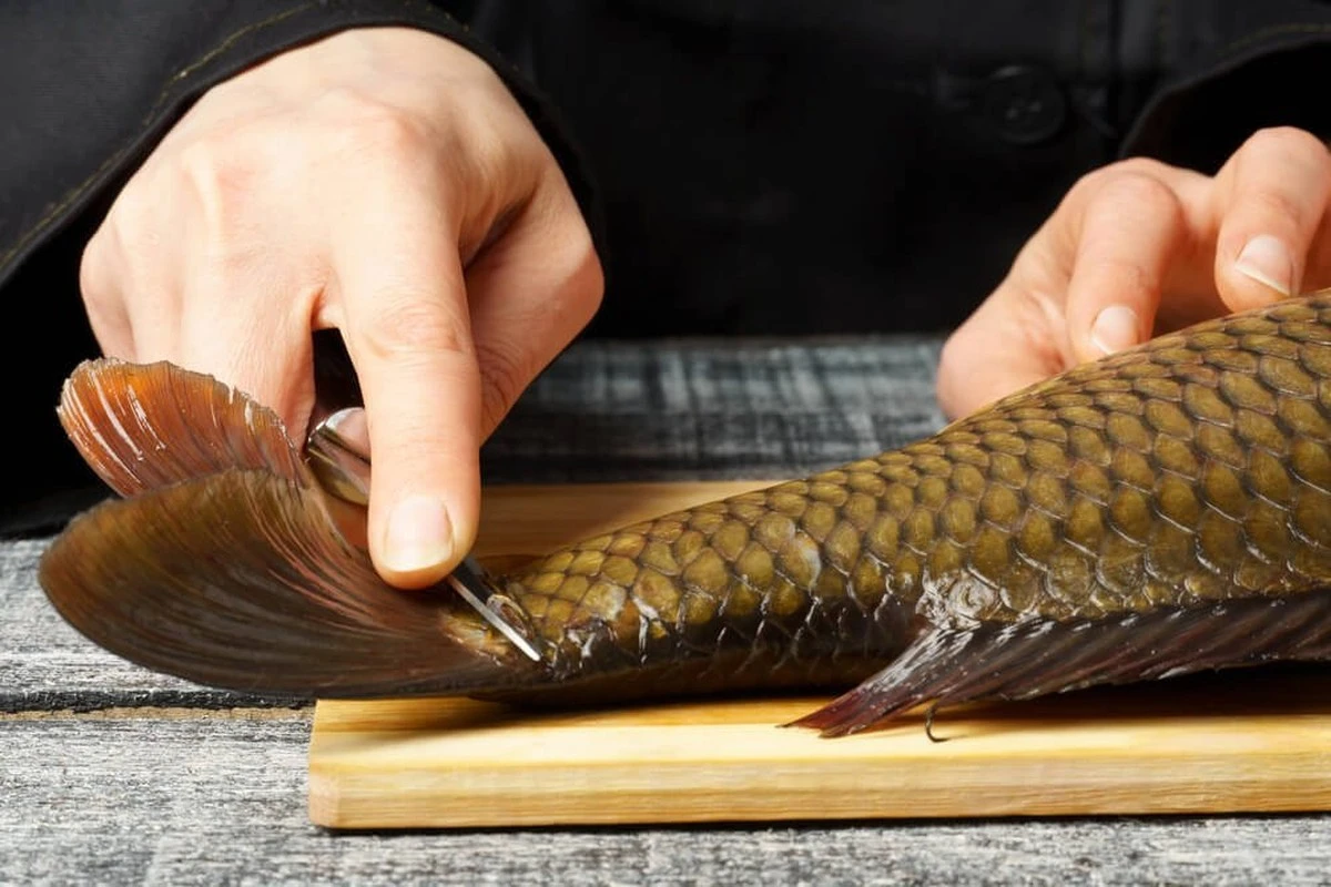 Nečekaný trik s houbičkou na nádobí: Jak snadno stáhnout šupiny z ryby bez speciálních nástrojů - image 1