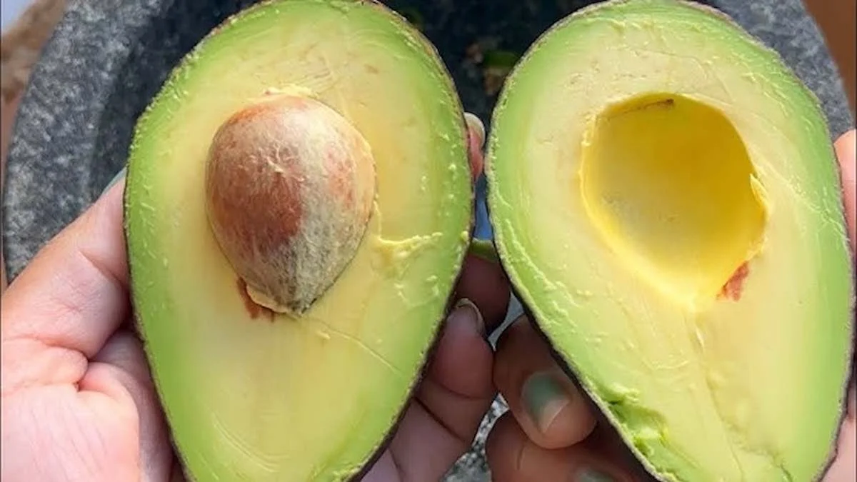 Jak vybrat dokonalé avokádo v obchodě