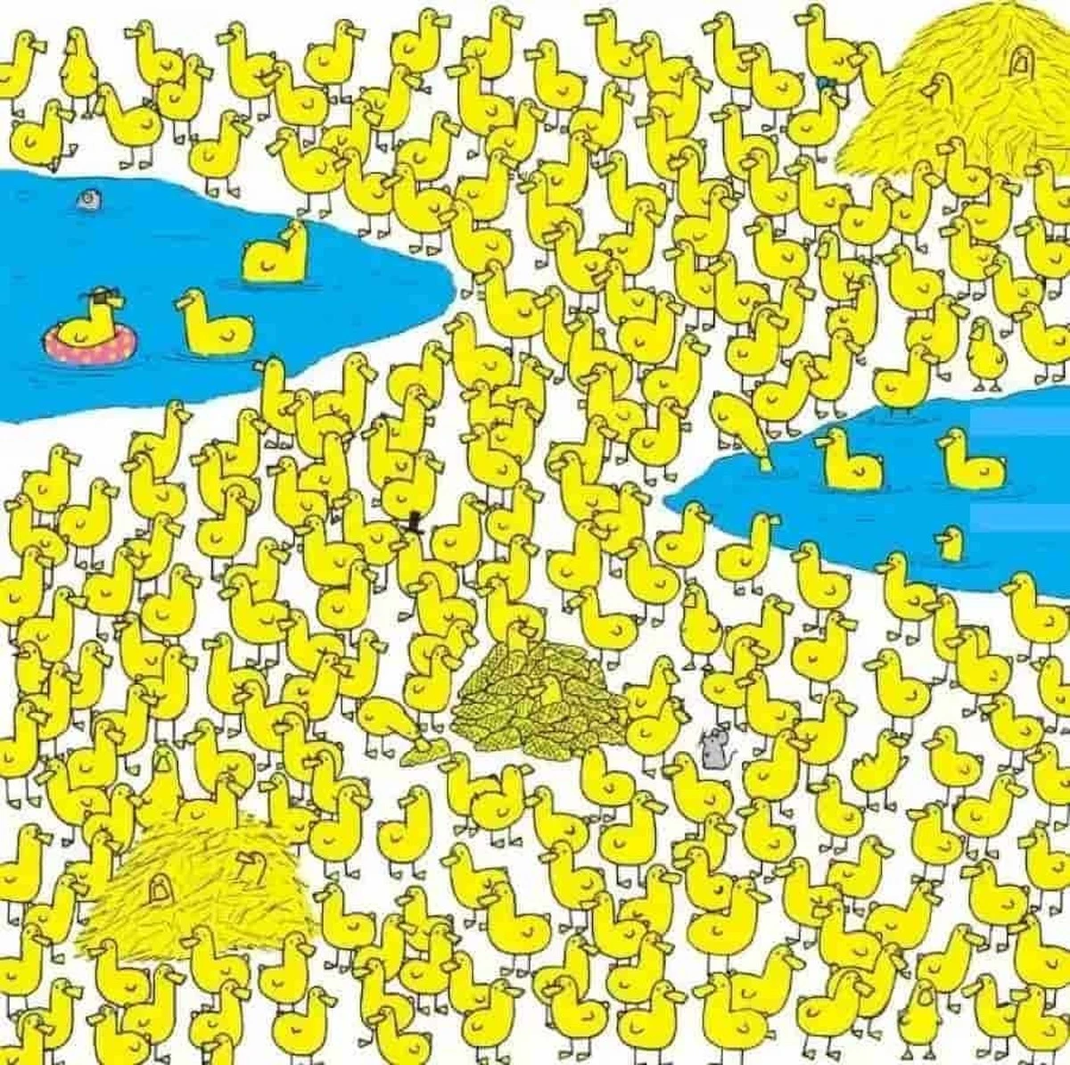 Najděte jediného kuřecí za 15 SEKUND: Tato optická iluze rozdělila internet.