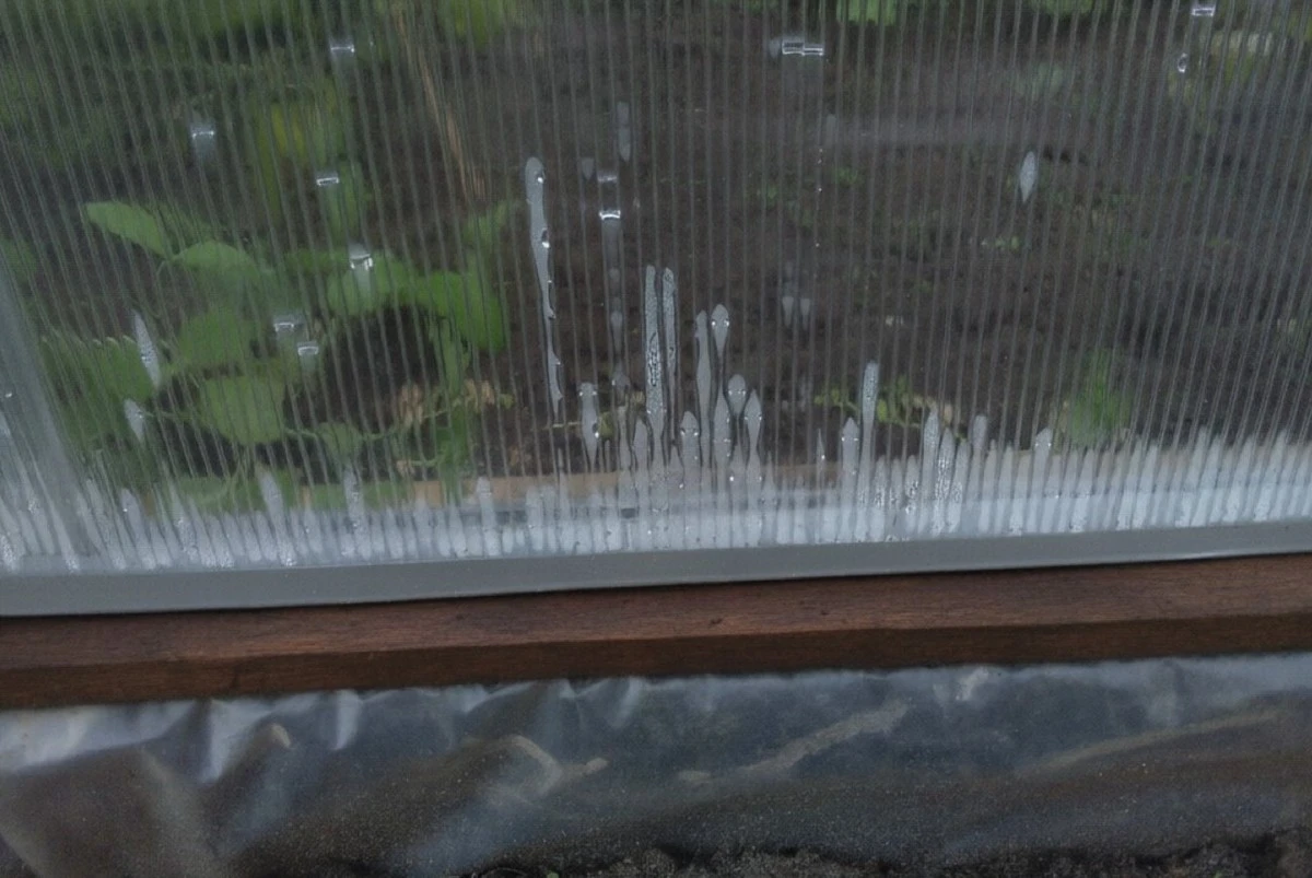 Teplotní rozdíly v tropech jsou passé: Jak zajistit suchou skleník a zdravou úrodu