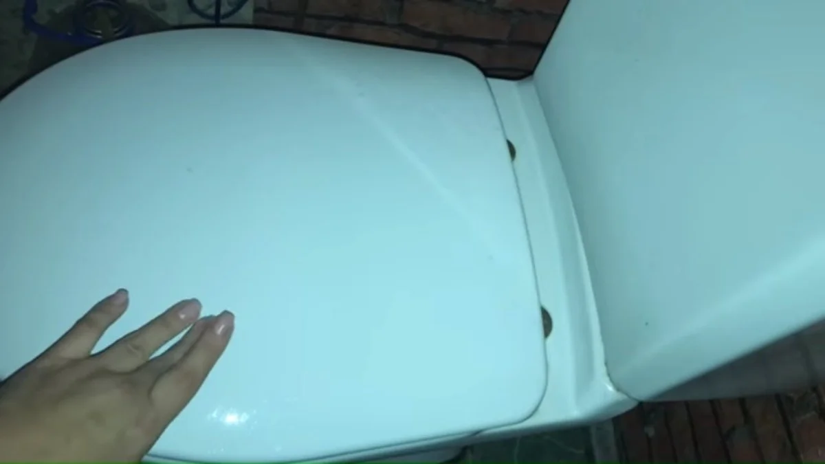 Jak na dokonale čistou toaletu bez námahy: Trik s domácí pastou proti vodnímu kameni